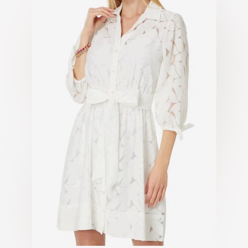 Lilly Pulitzer Amrita 3/4 sleeve dress